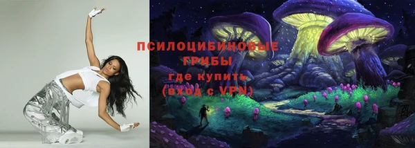 крисы Верея