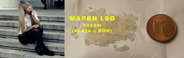 крисы Верея