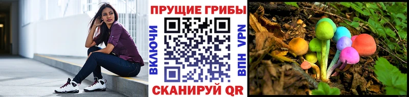 Галлюциногенные грибы GOLDEN TEACHER  Можайск 